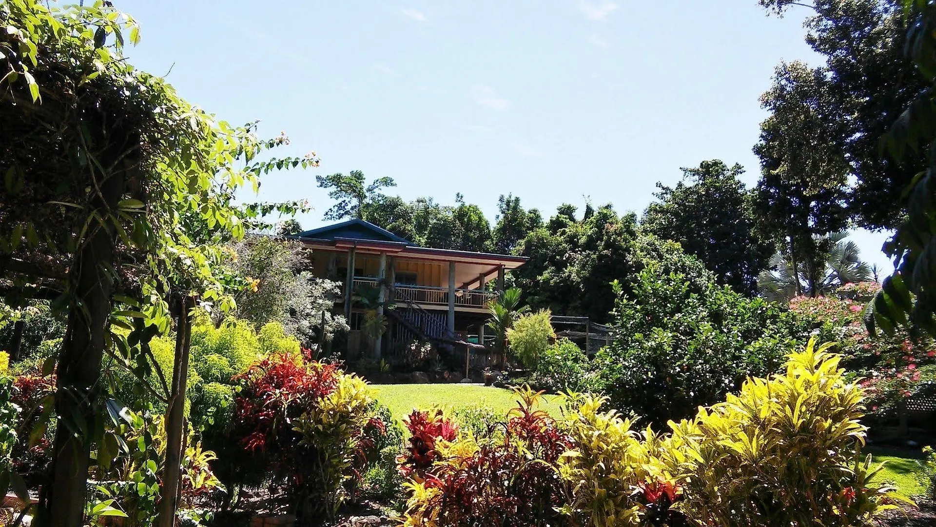Licuala Lodge Mission Beach